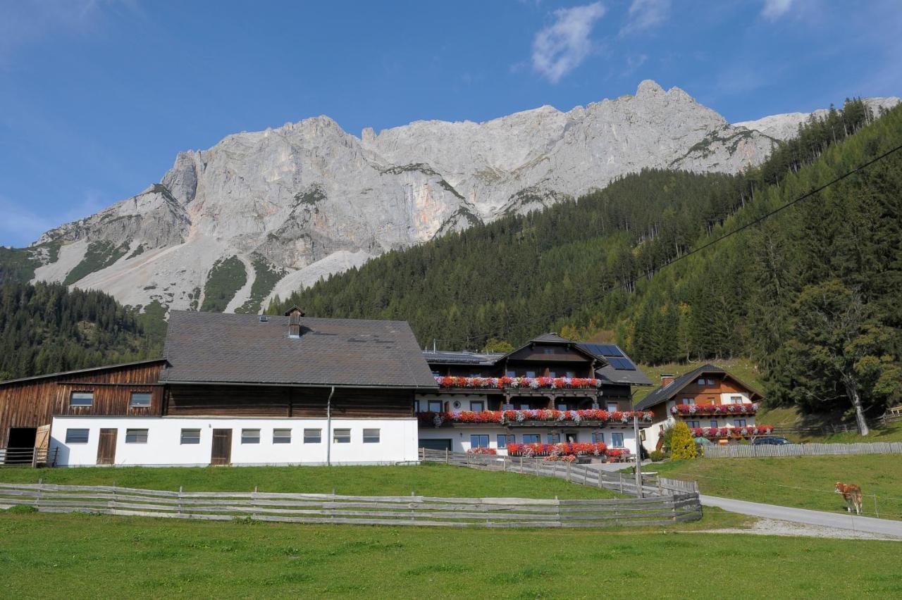 Bed and Breakfast Feichtlehnerhof à Ramsau am Dachstein Extérieur photo