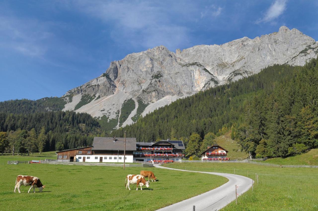 Bed and Breakfast Feichtlehnerhof à Ramsau am Dachstein Extérieur photo